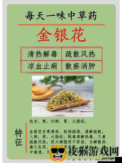 绞尽-by 金银花之奇思妙想