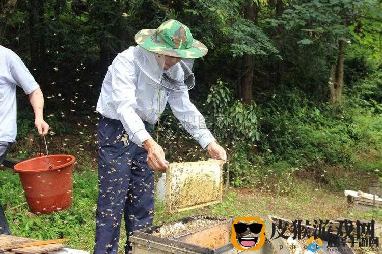 采蜜 1v1h 方橙采意体验：全新感受来袭