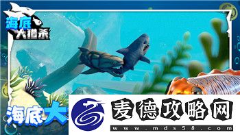 艾尔登法环定价多少-游戏定价策略及市场影响的深度解析