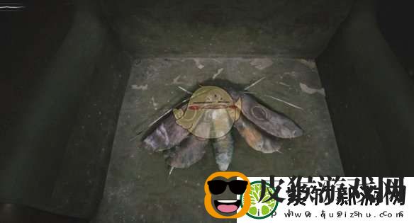 寂静岭2重制版M房间飞蛾谜题答案是什么