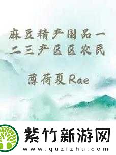 麻豆精产国品一二三产区区别有多大