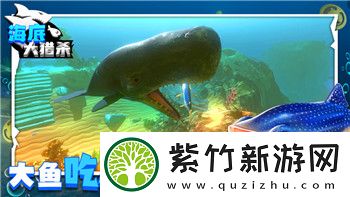 女神异闻录5皇家版全攻略女主
