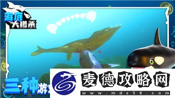 赛博朋克2077往日之影百灵鸟线和李德线的深度解析